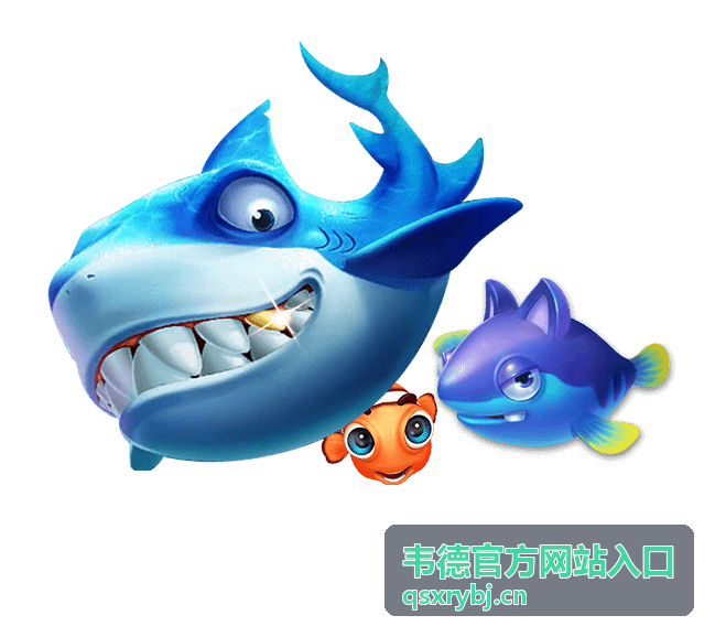 韦德官方网站入口安全指南
